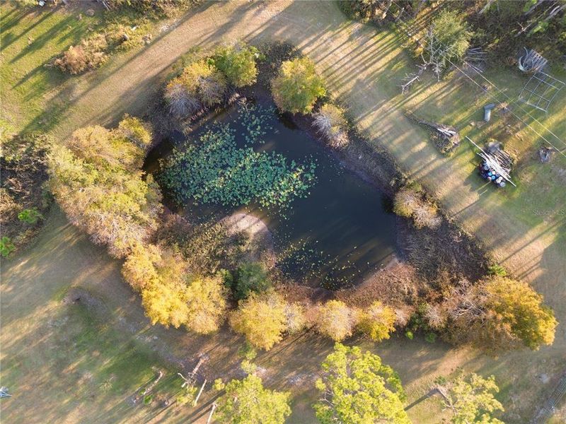 Natural landscape and outdoor views near  in Ona (Image 60).