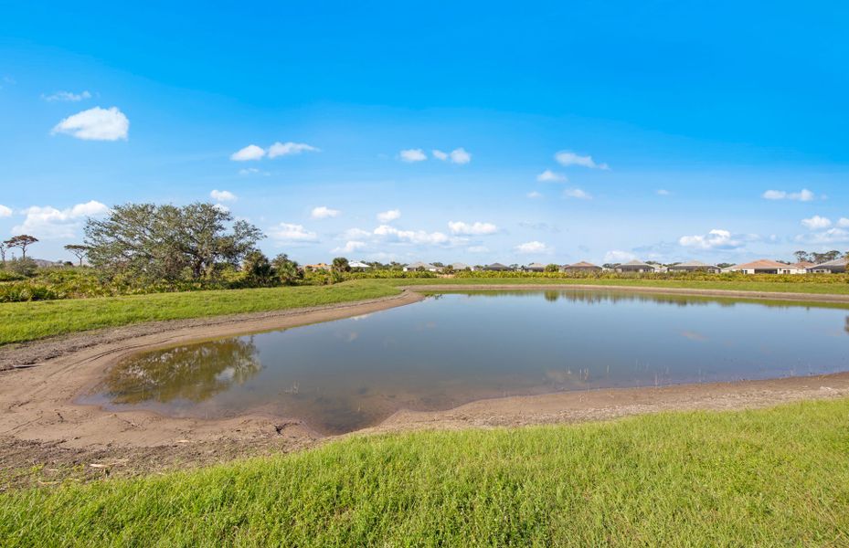 Outdoor and nature views near homes built from the Layton Grande by DiVosta in BeachWalk by Manasota Key, Englewood (Image 35).