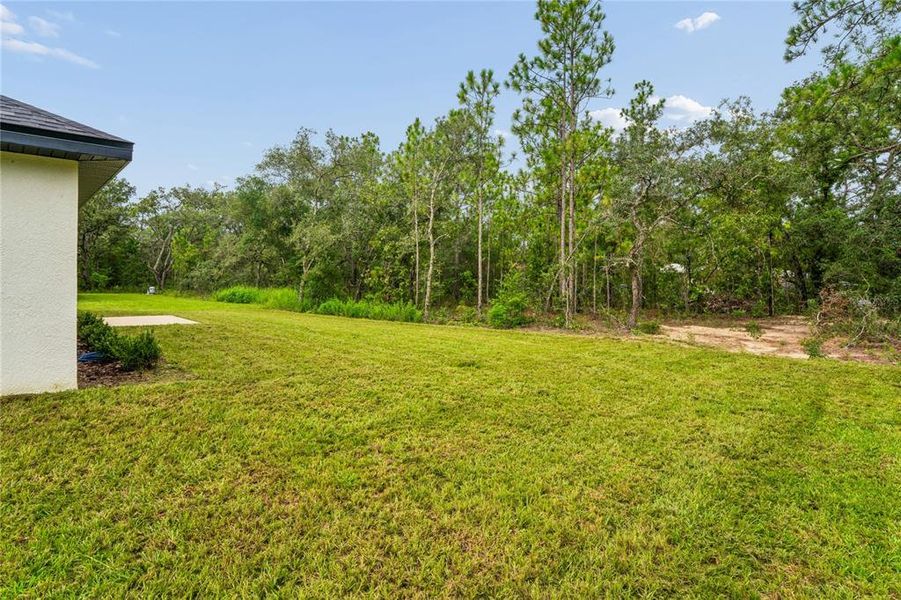 Exterior details and patio area of a home in , Brooksville (Image 30).