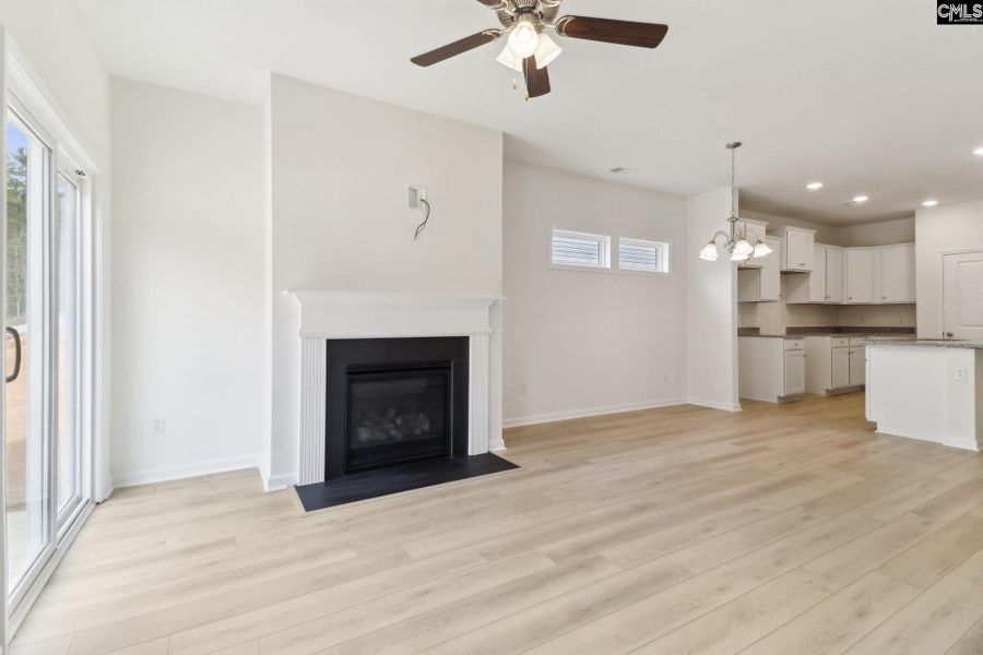 Spacious, unfurnished interior of a new home in Boykin Hills, Chapin (Image 9).