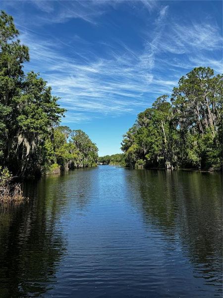 Natural landscape and outdoor views near  in Tavares (Image 31).