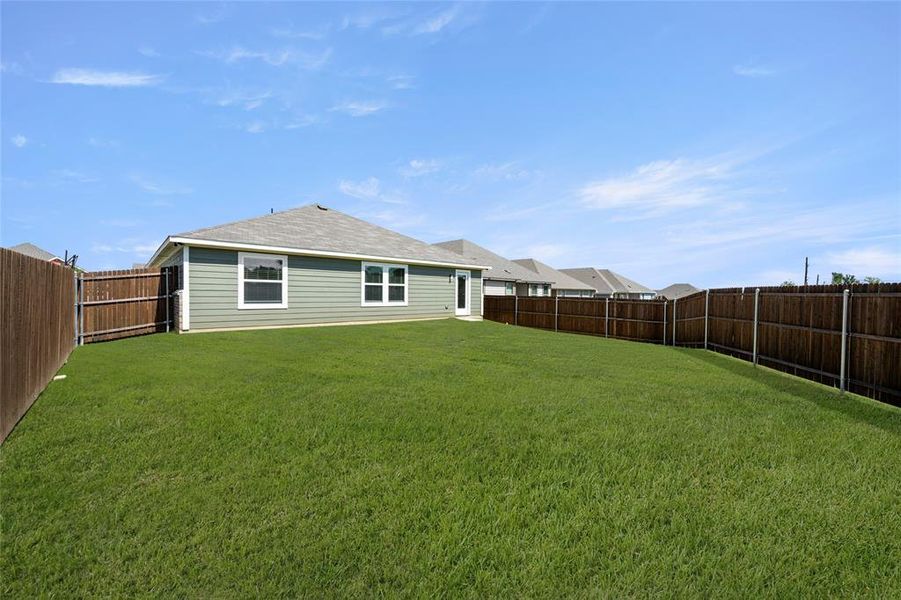 433 Rose- Back-2 433 Rose- Back-2