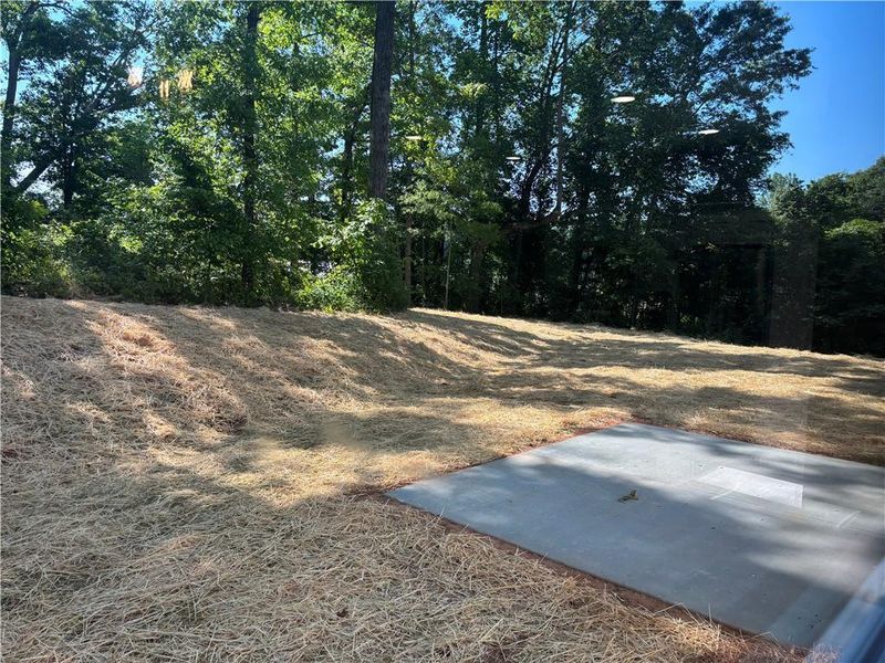 Site preparation for new homesites in , Dahlonega (Image 7).