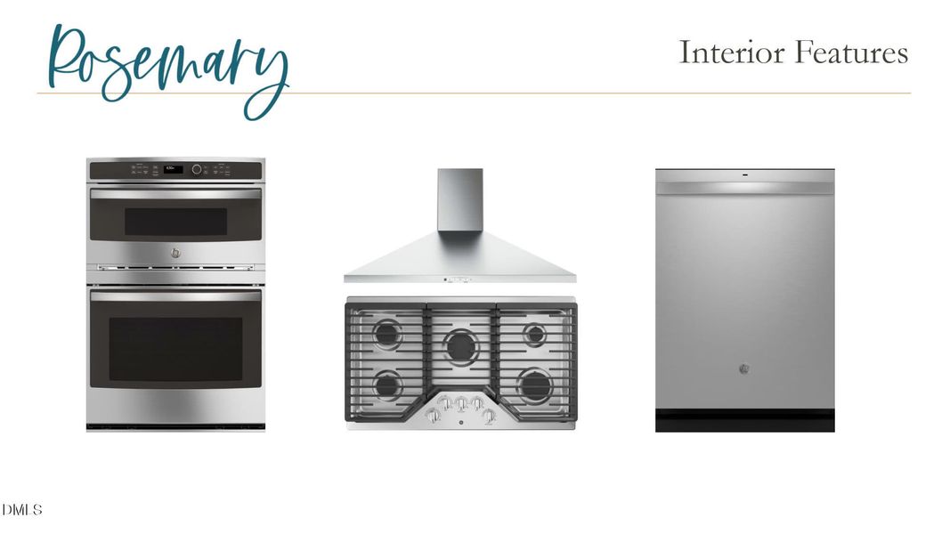 PNT60_39_Mood_Board_15September2025_5260 PNT60_39_Mood_Board_15September2025_5260