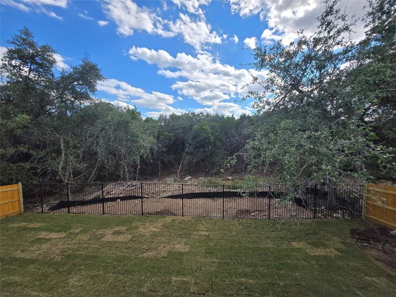 View of yard with a wooded view View of yard with a wooded view