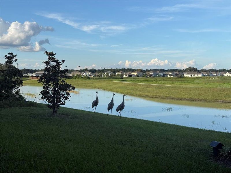 Image 41 of a home in .