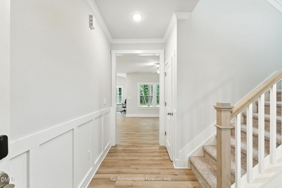 Holly Unurnished with gourmet and messy