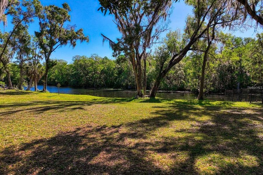 Natural landscape and outdoor views near  in Temple Terrace (Image 9).