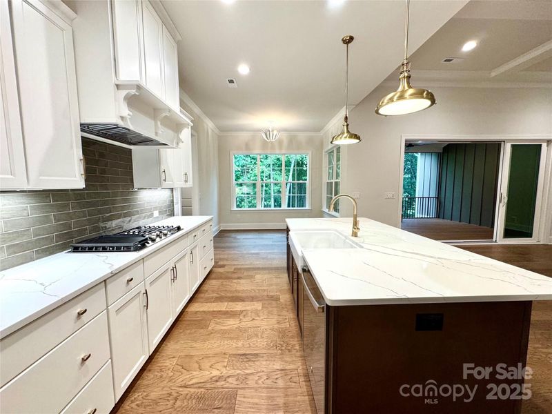 Furnished interior view inside a new home in Irish Creek, Landis (Image 8).
