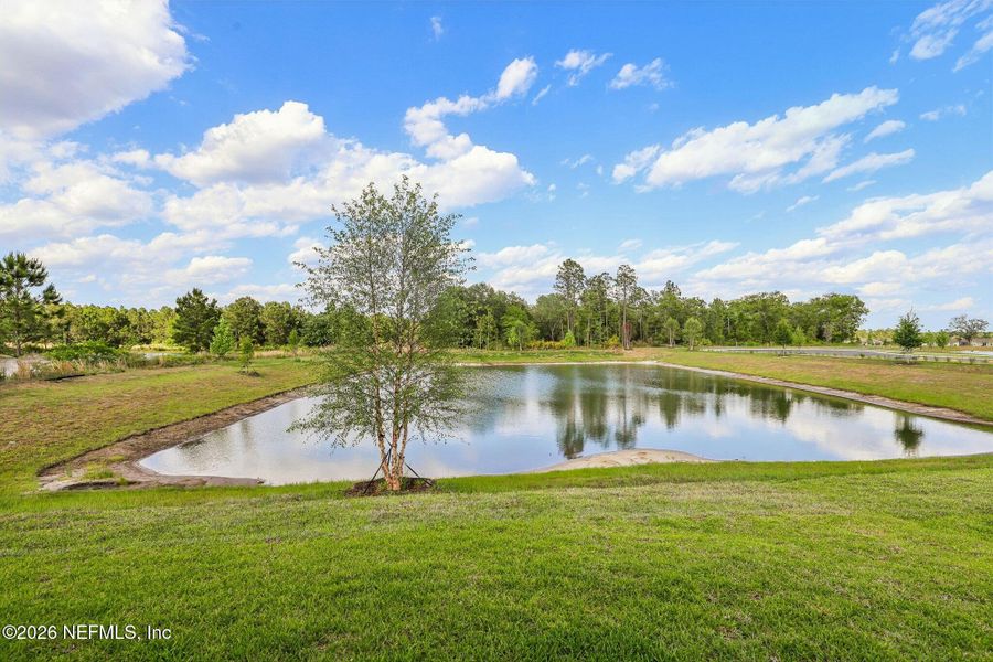 Natural landscape and outdoor views near in Middleburg (Image 27). Natural landscape and outdoor views near in Middleburg (Image 27).