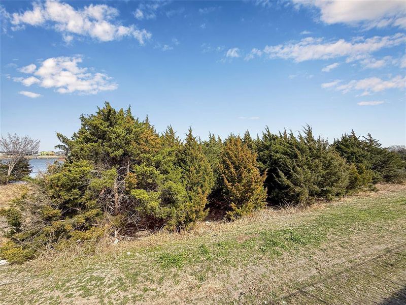 Natural landscape and outdoor views near Travis Ranch in Forney (Image 37).