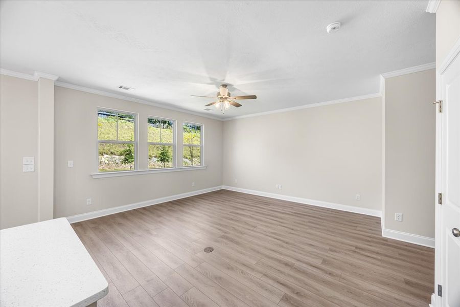 Spacious, unfurnished interior of a new home in Forrest Bluff, North Augusta (Image 16). Spacious, unfurnished interior of a new home in Forrest Bluff, North Augusta (Image 16).