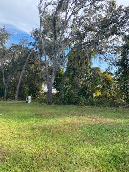 Natural landscape and outdoor views near  in Ocklawaha (Image 42).