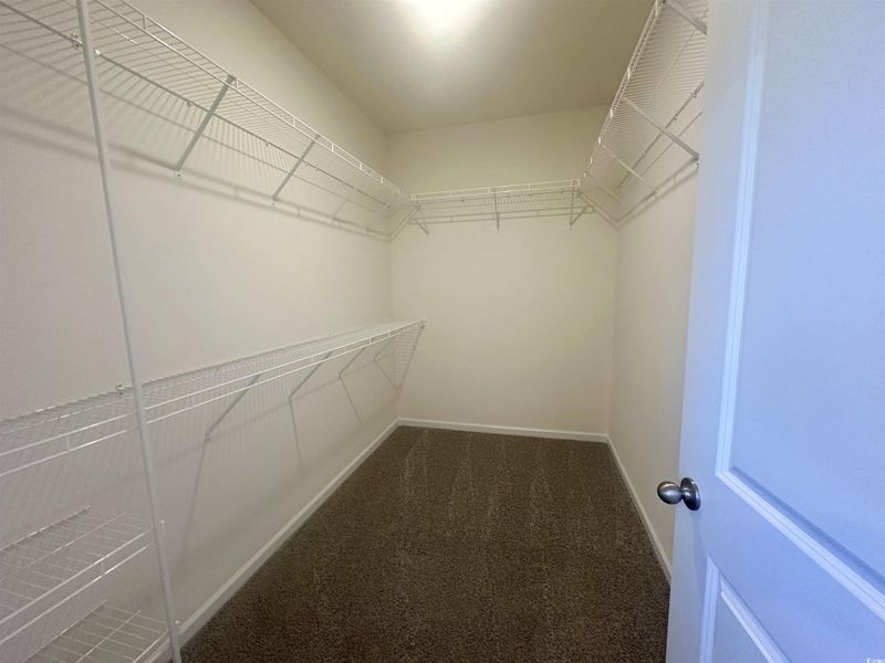 Spacious closet with dark carpet Spacious closet with dark carpet
