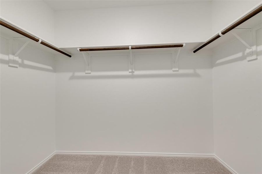 Walk in closet featuring carpet floors