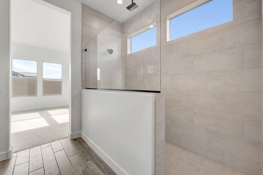 Owner's Bath