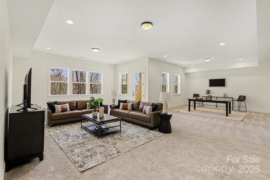 Basement living area