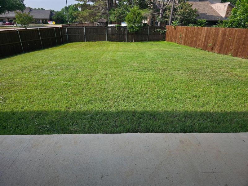 View of fenced backyard