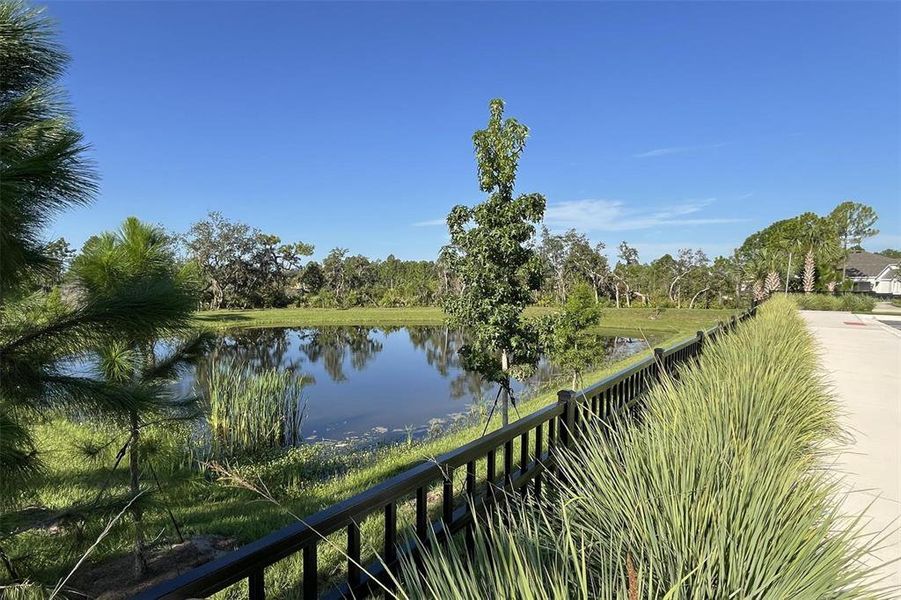 Natural landscape and outdoor views near  in Deland (Image 7).