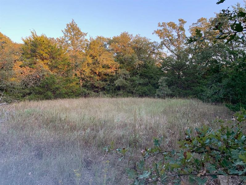 Open pasture areas and mature trees!