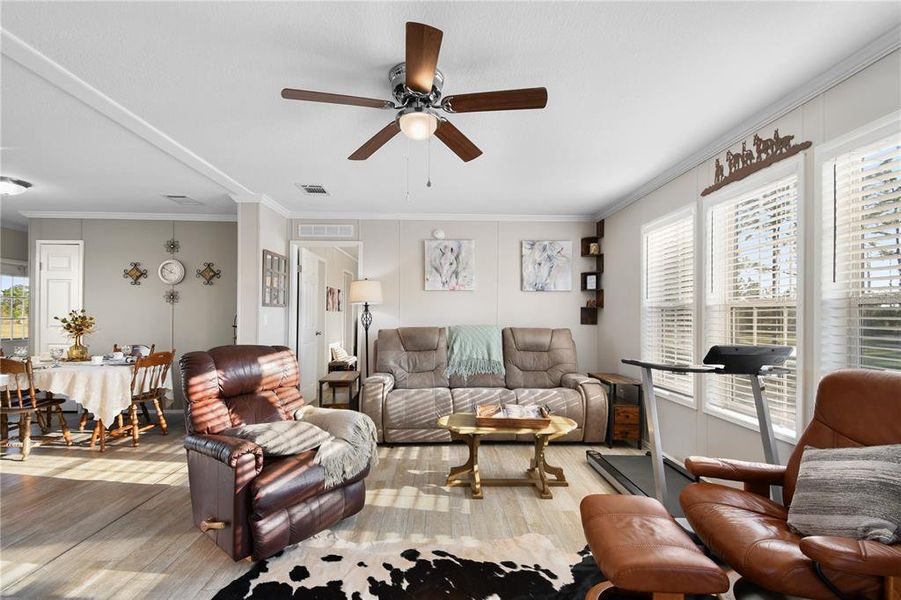 Furnished interior view inside a new home in , Ona (Image 31).