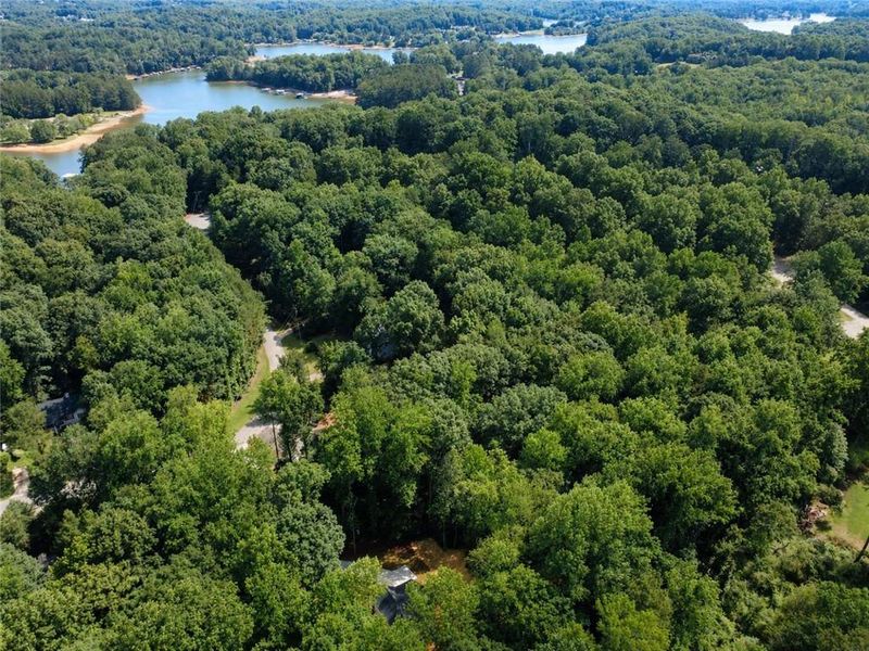 Natural landscape and outdoor views near  in Dawsonville (Image 45).