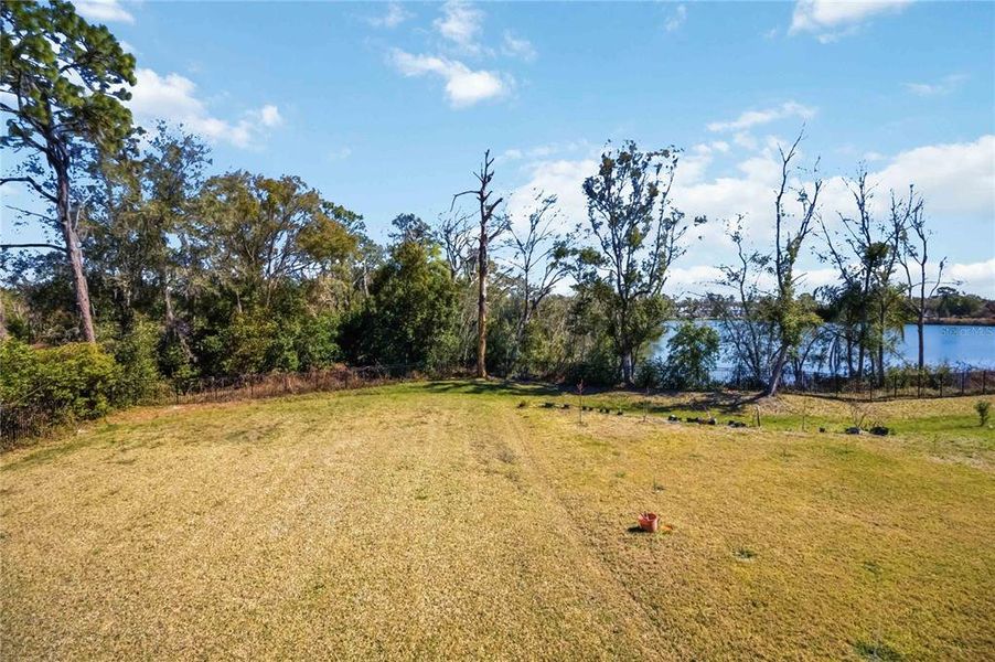 Natural landscape and outdoor views near Blue Diamond  in Orlando (Image 62).