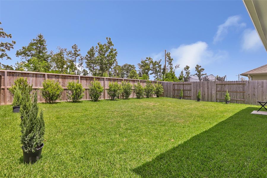 Shrubs line the back fence! They will continue to grow and provide additional privacy. No back neighbors.