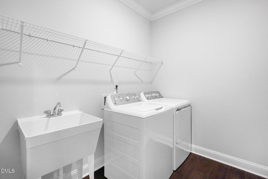 SUN_Everlee_Pic_MayflowerIII_QMI_218_Lau