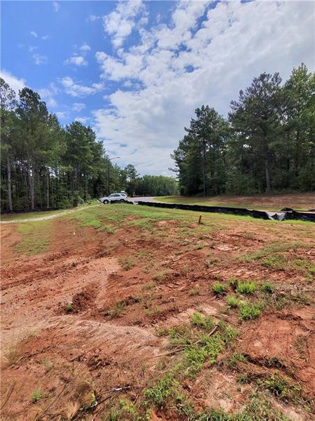 Site preparation for new homesites in , Williamson (Image 3).