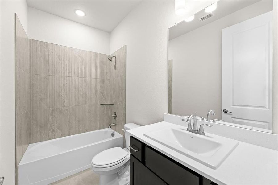 Discovery Collection at Painted Tree