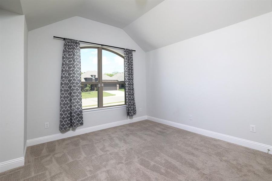 Additional living space featuring carpet flooring and lofted ceiling