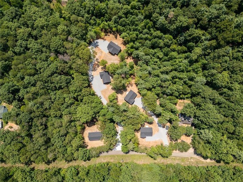 Natural landscape and outdoor views near  in Dahlonega (Image 38).