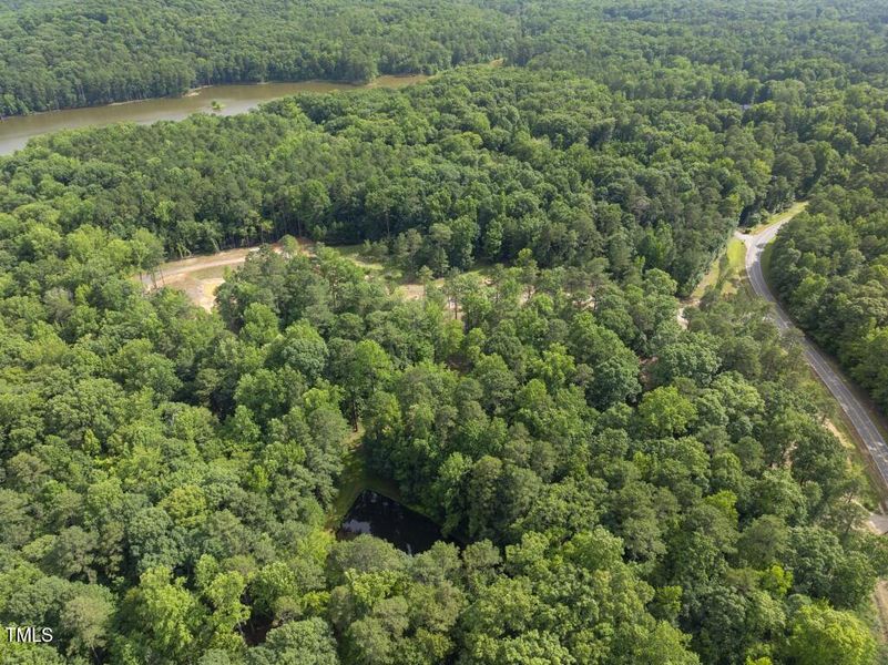 DJI_20250617163025_0109_D (Medium)