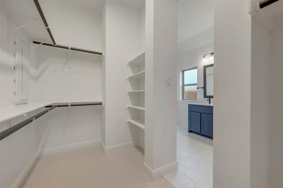 Walk-in closet featuring built-in shelving, hanging rods, and carpet flooring