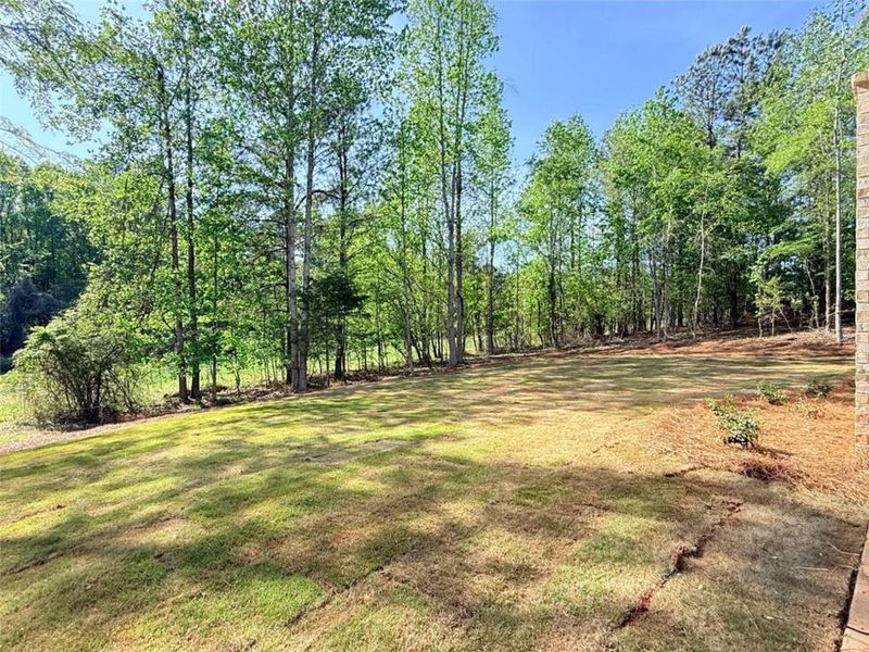 Natural landscape and outdoor views near  in Jefferson (Image 31).