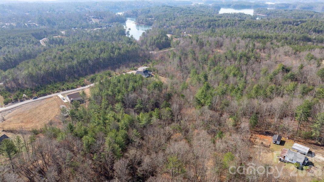 Natural landscape and outdoor views near  in Morganton (Image 35).