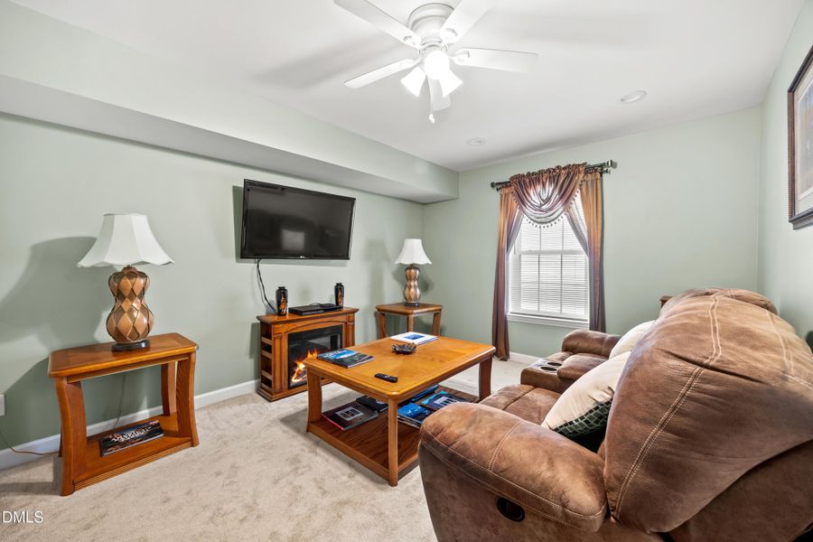 Basement living 3 Basement living 3