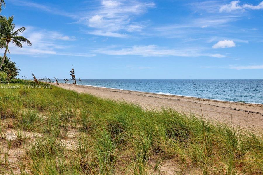 Natural landscape and outdoor views near  in Fort Lauderdale (Image 60).