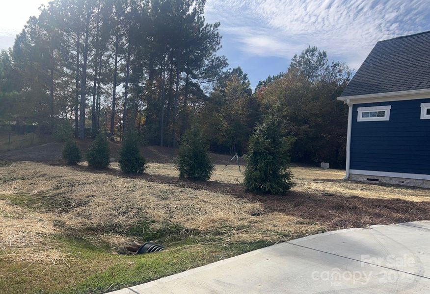 Yard  aerated and overseeded