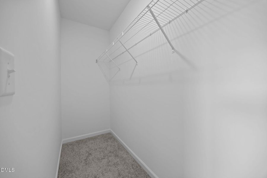 29-web-or-mls-6S8A4177