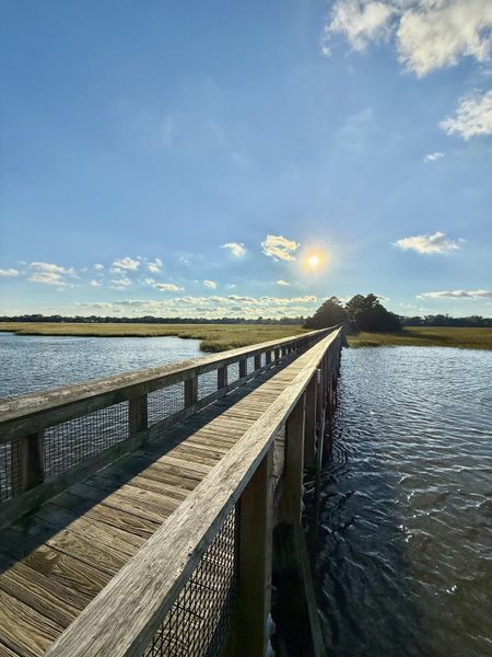 Natural landscape and outdoor views near  in Charleston (Image 6).