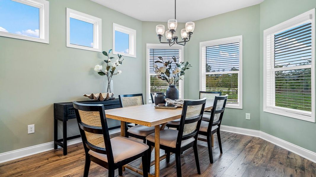 New Home in Conway, SC.  - Slide 7