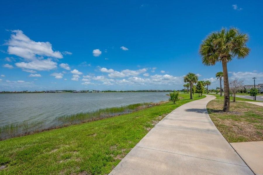 Natural landscape and outdoor views near  in Sarasota (Image 36).