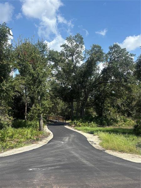 Natural landscape and outdoor views near Coasterra in Palmetto (Image 23).
