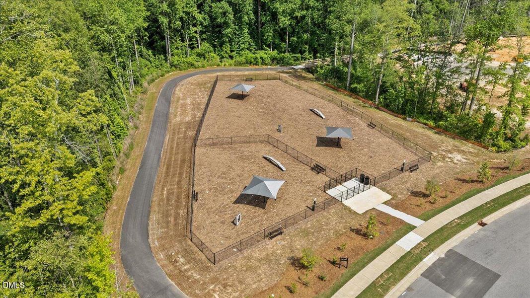 47-DJI_20250520155202_0181_D