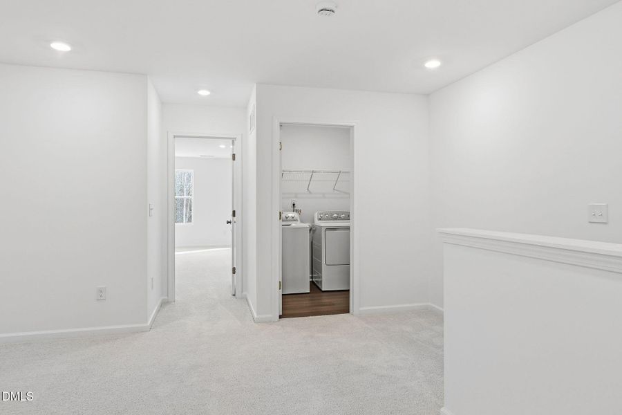 SUN_Marelli_Pic_Sutton-31