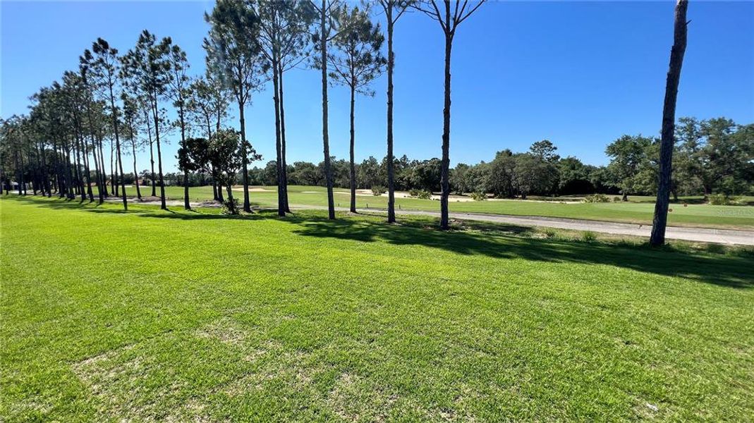 Natural landscape and outdoor views near  in Dunnellon (Image 25).