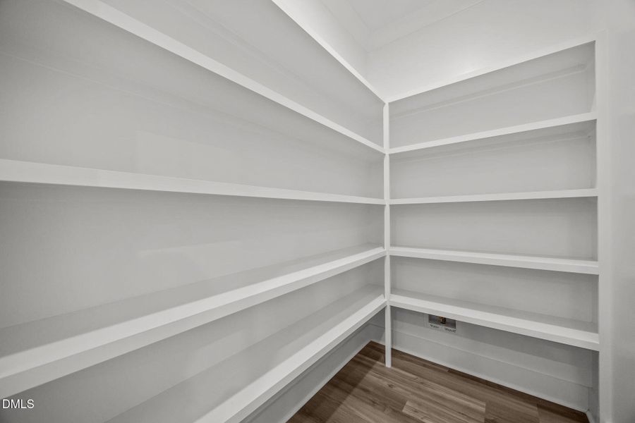 37-web-or-mls-IMG_8554