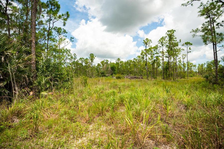 12460 79TH Street, Fellsmere, FL, 32948 12460 79TH Street, Fellsmere, FL, 32948